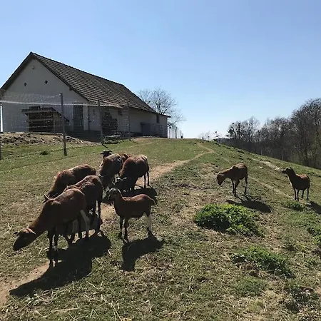 Lovely In Nature